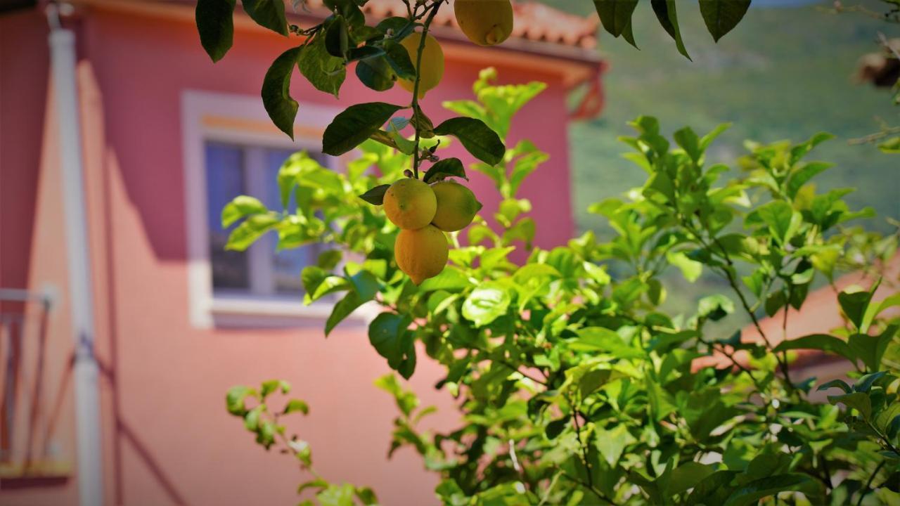 Hotel Tourist Parga Exterior foto